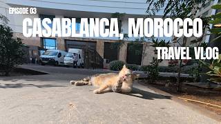 Exploring Casablanca, Morocco Like a Local 🇲🇦 | Vlog: Markets, Food & 