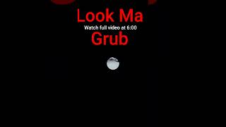 Download lagu Counting Crows @travelswithlucky #shorts #shortsyoutube mp3