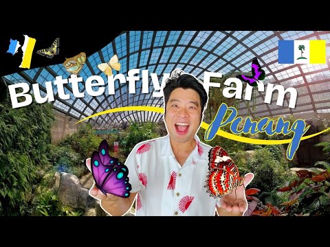 🌼 Back to Malaysia! Visiting the NEWLY renovated Entopia by Penang Butterfly Farm