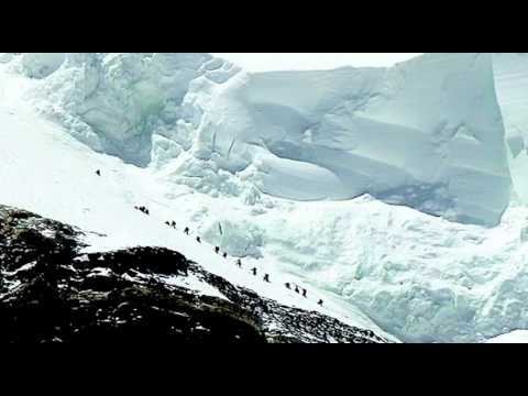 download lagu mp3 mp4 Graham Bowley, download lagu Graham Bowley gratis, unduh video klip Graham Bowley