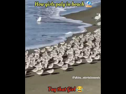 girls at beach...😂😂|| funny video