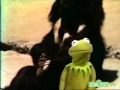 Classic Sesame Street Kermit Sees The Bears Doing Exercises