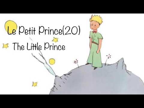 Le Petit Prince (20)