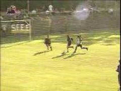 SV Waldhof - 20 Jahre Aufstieg in die Bundesliga