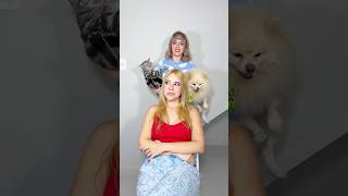 Gato ou cachorro? Qual você escolheria? 😍🐱🐶