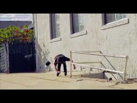 THE REBIRTH • GAV DRUMM