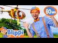 Blippi Jungle Helicopter Adventure Learning Vehicles Educational Videos For Kids