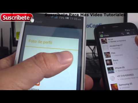 Alcatel Onetouch Pop C7 Cómo cambio mi foto de perfil de WhatsApp Español