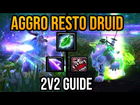 Resto Druid 🍃 DAMAGE PvP Guide for TWW (2v2)