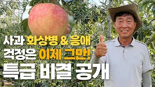 사과 응애 & 화상병 방제 걱정 끝! 30년 고수의 방제 노하우 대공개