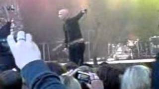 letzte instanz the lion sleeps tonight