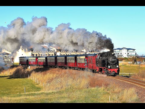 Mit dem Molli durch die Jahreszeiten