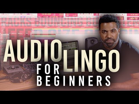 Audio Lingo for Beginners