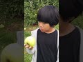 Apple Picking at Harvest Moon Farm & Orchard in North Salem, NY
