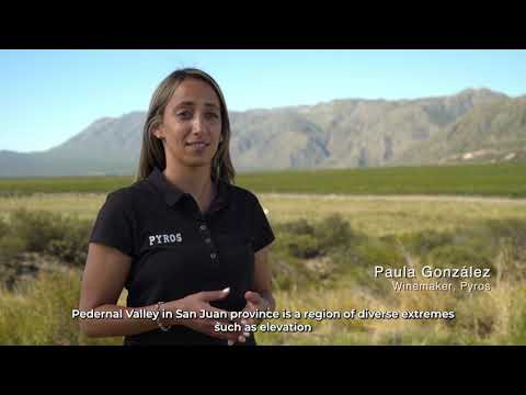 PYROS Wines video