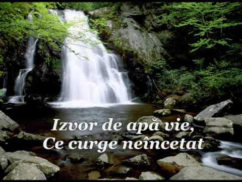 Ani Rogojan-Izvor de apa vie