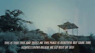 preview picture of video 'Haunted Place|Himachal Pradesh|Beautiful|Diana Park'