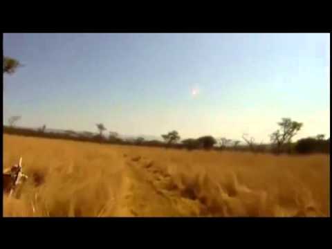 Mountain Biker gets taken out by BUCK Falcon Punch Rolo remix