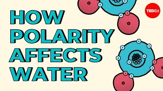 How polarity makes water behave strangely – Christina Kleinberg