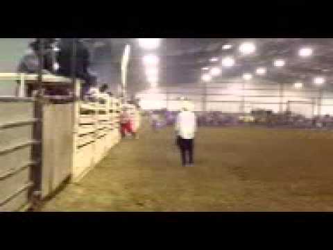 Darren Woollett Riding Bull Ride Mania