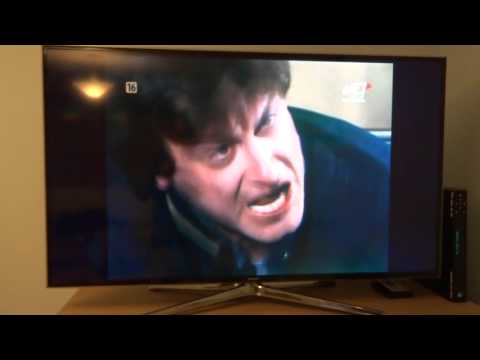 TULIPAN - kultowa scena . . .