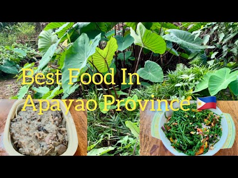 Cooking the Best Food in Apayao Province / mz tez #philippines #countryside #countrysidecooking