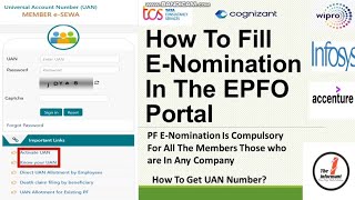 How To File  e -nomination In The EPFO Portal Online |How to Activate UAN Number|How to Add Nominee|