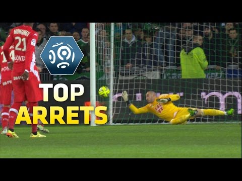 Top arrêts 19ème journée - Ligue 1 / 2014-15