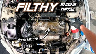 FILTHY Engine Bay Detail on a 200k Mile Honda Civic | Start to Finish