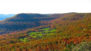 Pope's Arkansas Mountaineers - Hog Eye