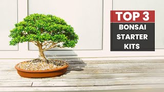 The Ultimate Guide to Bonsai Starter Kits - Everything You N