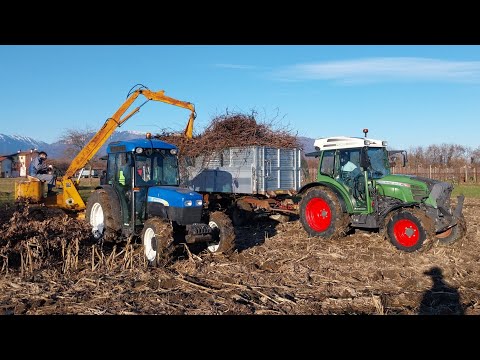 COME SI PREPARA UN PANEVIN? TUTTE LE FASI DALLA RACCOLTA DELLA LEGNA ALL'ACCENSIONE, PARTE 1/3
