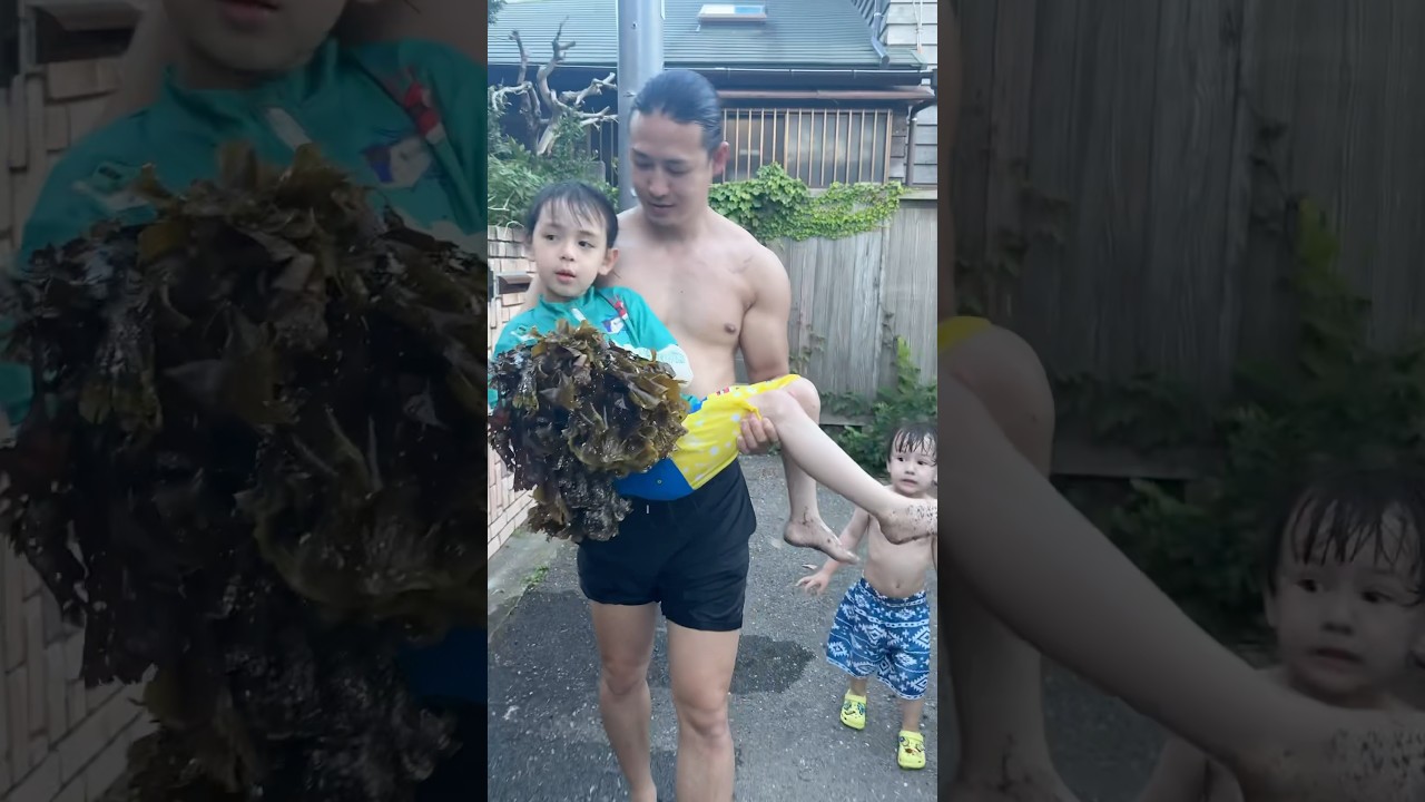 ニコは砂まみれ、ルカはわかめコレクター😂🪸子どもたちは全力で楽しんで、親は全力で疲れました😂 #ルカとニコ