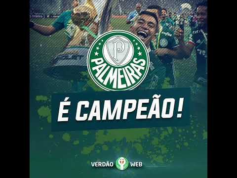 Parabéns ao palmeiras campeão brasileiro de 2022