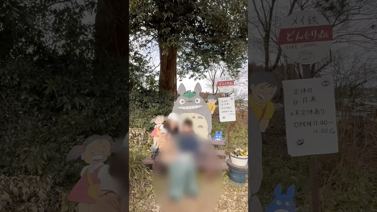 #カフェルオム#茨城県#小美玉市#ランチ#となりのトトロ