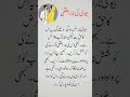 Bivi Ki Narazgi Husband Wife Life