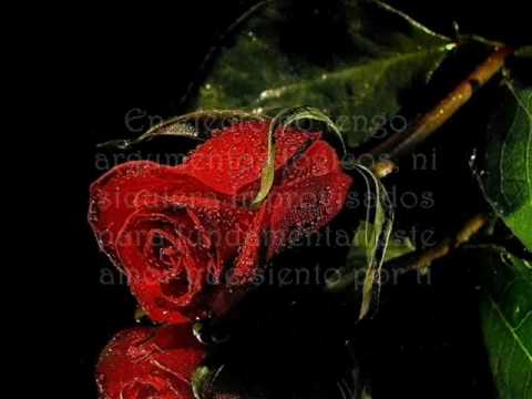 Te amo- Gian Franco Pagliaro