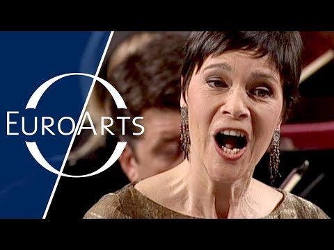 Mozart – "Agnus Dei" from "Litaniae Lauretanae" in D Major, K.195 (Sandrine Piau, Vienna Boys Choir)