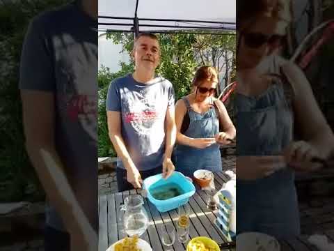 Tuto berniques Préfailles