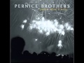 Pernice Brothers - Waiting for the Universe