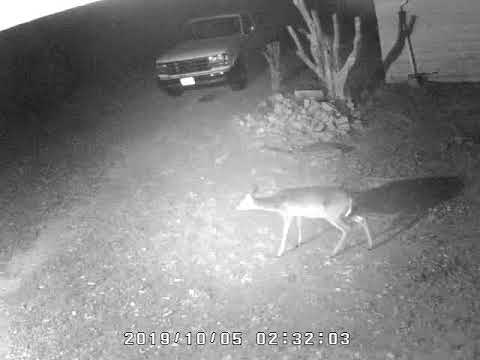 User submitted video