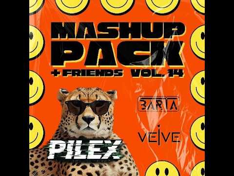 Benny Benassi X Black Eyed Peas   Discoteka x Rock That Body (P I L E X x BARTA & VEIVE Mashup)