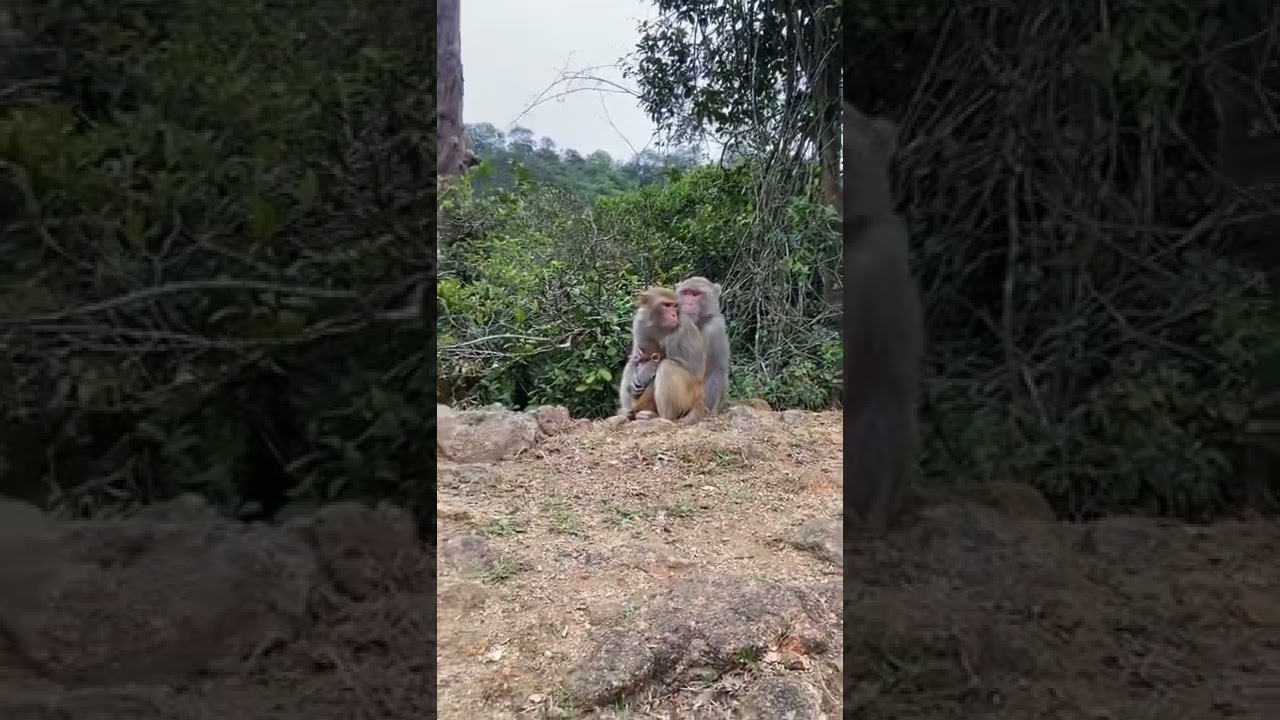 YouTube Short thumbnail