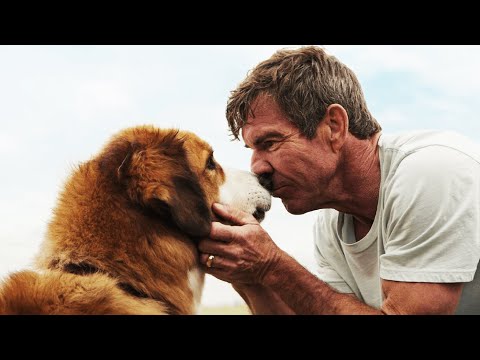 一隻狗的遺囑 香港