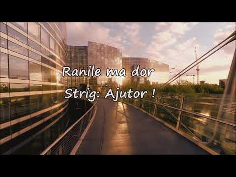 POE x Laura Toc - Asta E Lumea