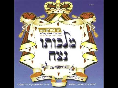 מתי תמלוך | musai timloch