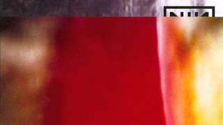 NIN - The Big Come Down