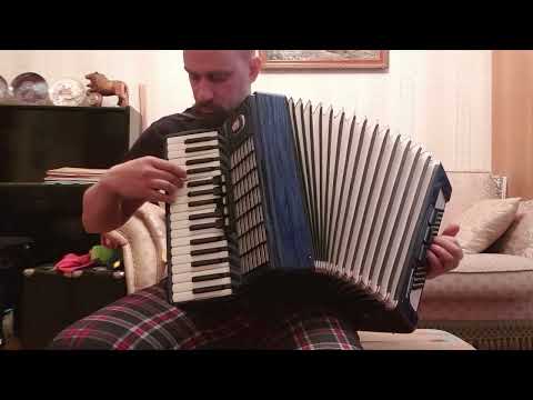 Аккордеон Weltmeister Stella. Размер 3/4.