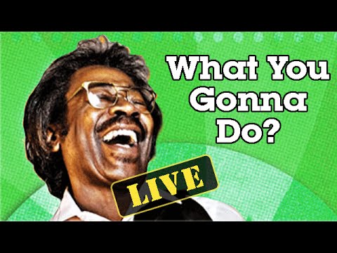 Buckwheat Zydeco in "What You Gonna Do?" [Live at Clearwater Festival] - Buckwheat's World #2