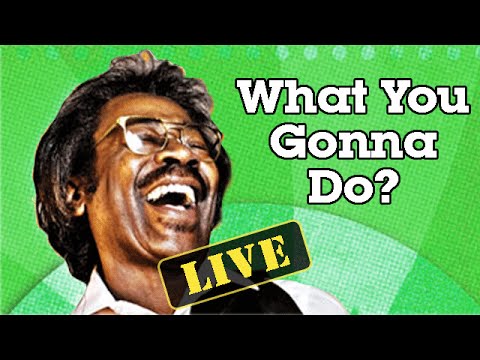 Thumbnail for Buckwheat Zydeco in "What You Gonna Do?" [Live at Clearwater Festival] - Buckwheat's World #2 by Buckwheat Zydeco